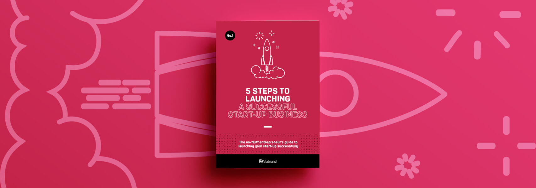 A pink box with 'step by step lanolin'. Alt text: 'A pink box with a guide to launching a successful start-up.'